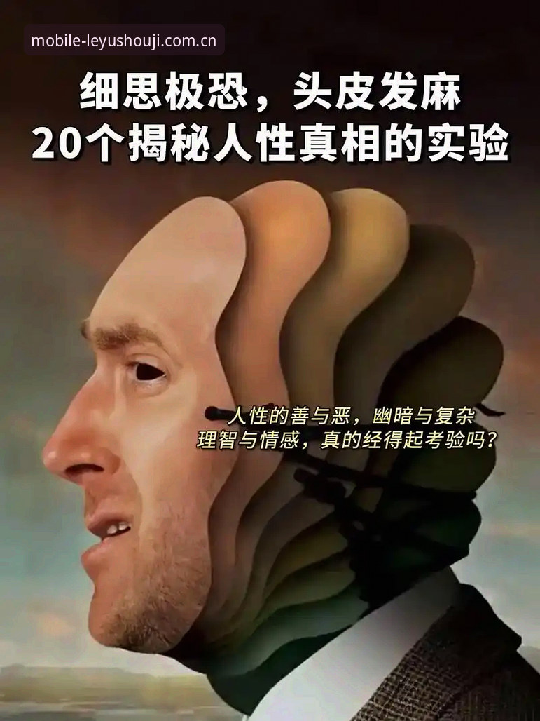 揭秘乐鱼手机版背后的真实体验：你不知道的流畅与稳定真相